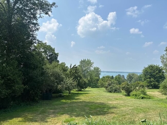 Backyard view