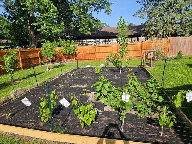 4047 Mogadore Rd, Mogadore, OH 44260 - photo 3