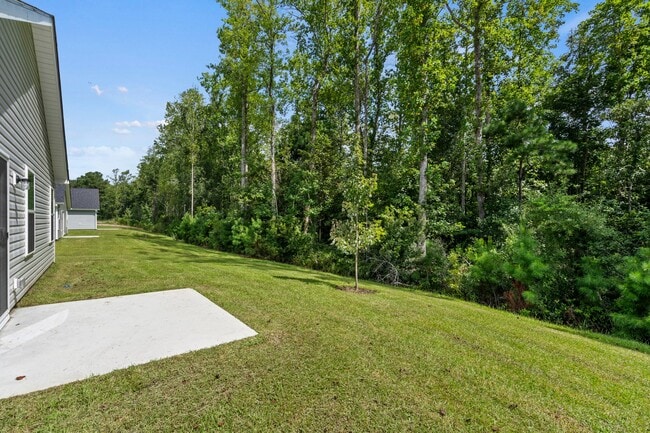 986 Cherrystone Loop, Conway, SC 29526 - photo 3