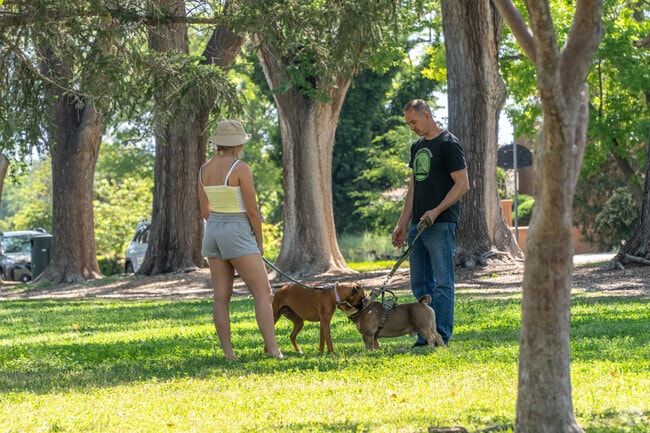 Quigley Park families love Altura Park, offering shady trees and open spaces for both pets and people.