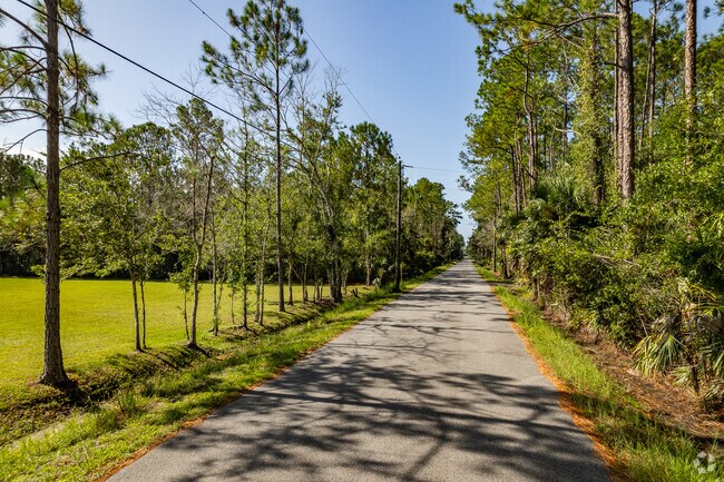 A typical street view of Tomoka Farms.