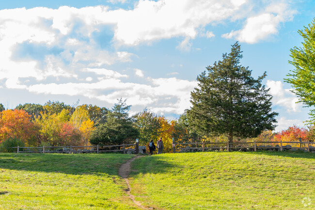 Lexington is filled with conservation land like the Chelsea Meadow.