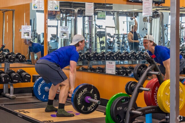Anytime Fitness near Regis provides 24/7 access to modern workout equipment.