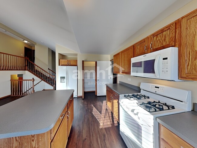 26251 W Bayberry Ct, Channahon, IL 60410 - photo 3