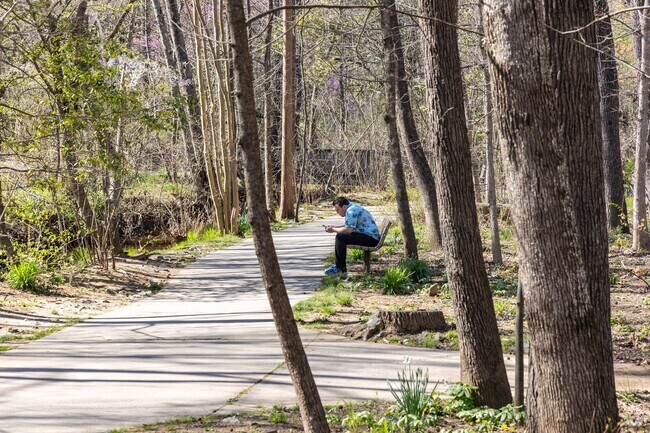 Relax on Hamilton Forest's Benjamin Park Bog Garden deck, nature's sanctuary.