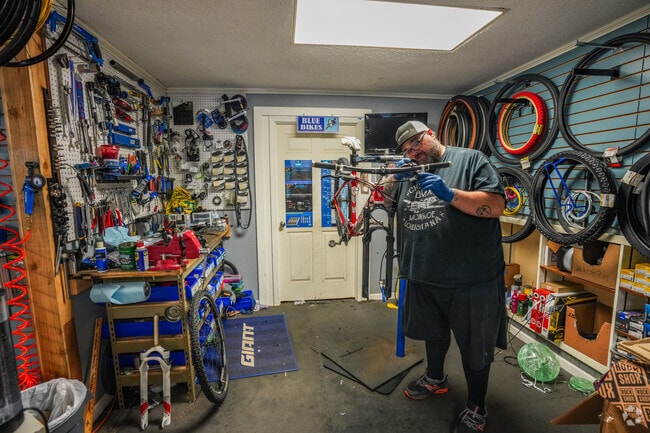 At Blue Bikes, you can get your bike repaired and purchase new ones.