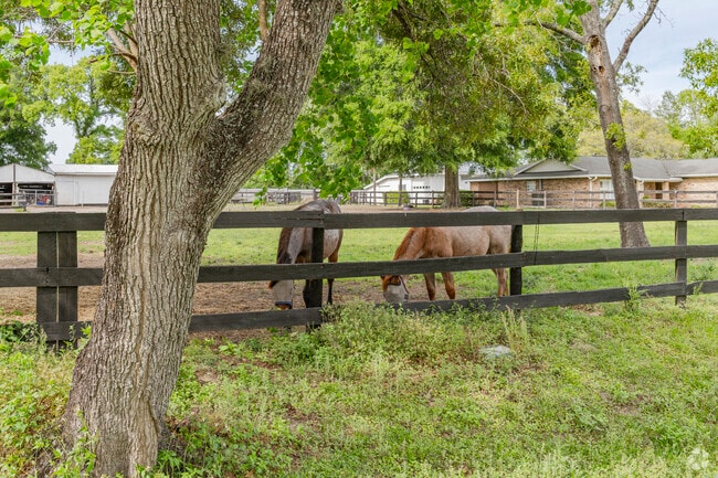 Many Southwest Ocala homes have room for horses on the property.