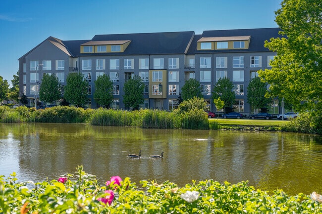 You'll find plenty of multi-family apartment and condo buildings in Amberglen