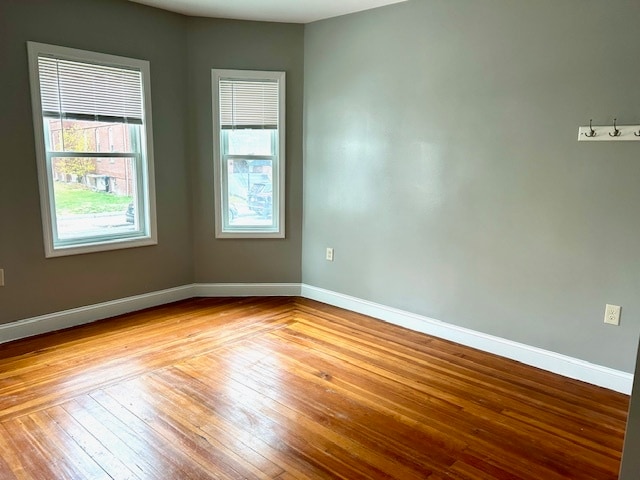 71 Easton St unit 1, Allston, MA 02134 - photo 3