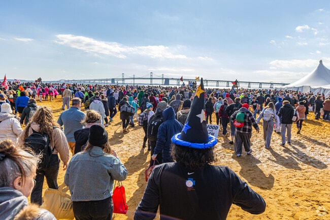 Chester residents can join the annual Polar Bear Plunge each winter near Queenstown.