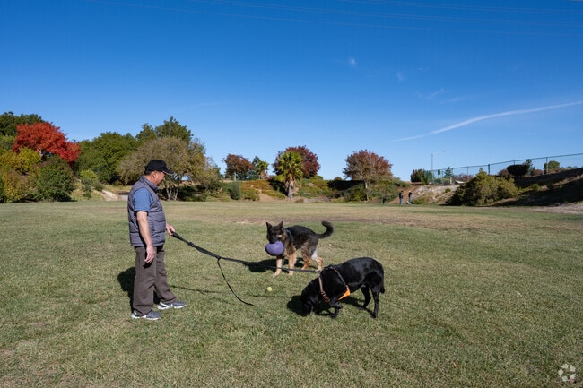 The ball fields at Oak Hills Park are great place to play fetch.