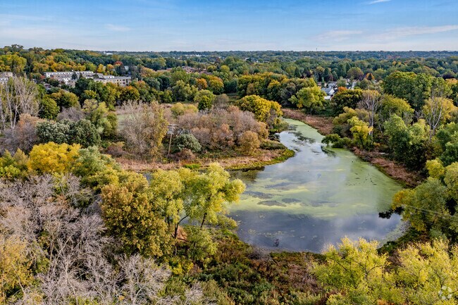 Scenic views of Willow Reserve Wetland in North End.
