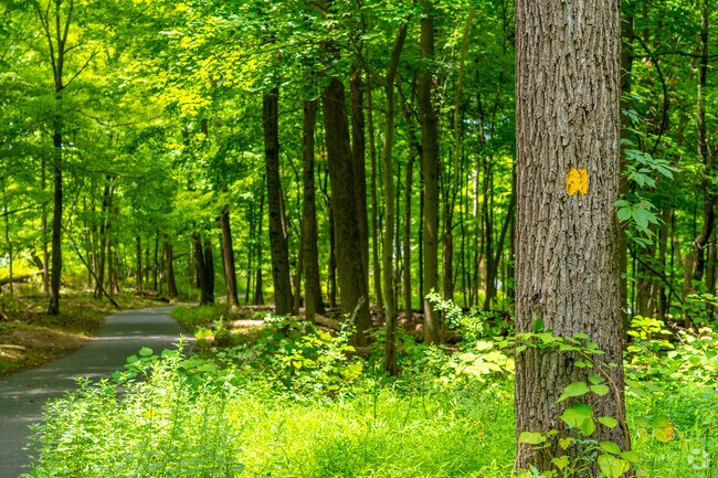 Take a Hike through the Washington Valley Park woods.