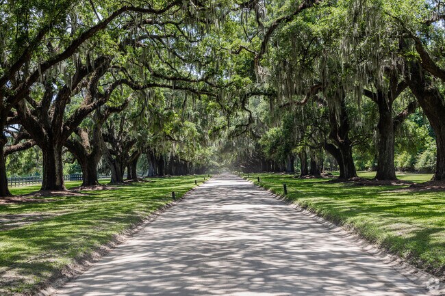 Belle Hall locals love to explore the beauty at Boone Hall Plantation & Gardens in Mt. Pleasant.