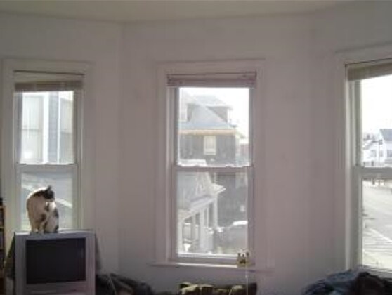530 Cambridge St unit 3, Allston, MA 02134 - photo 3