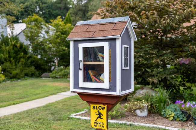 The Little Free Library in Knollwood-Hanestown energizes reading in the community.