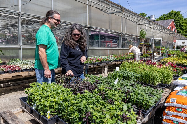 Freund's Farm Market in Canaan offers a full nursery along with fresh produce and baked goods.