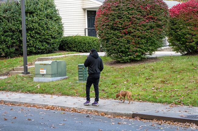 Streets throughout Ashton-Shady Spring have sidewalks, making it easier for afternoon walks with the dogs.