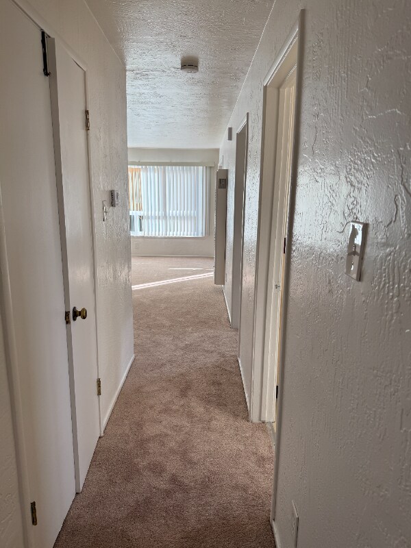 1327 Ashby Ave unit C, Berkeley, CA 94702 - photo 6