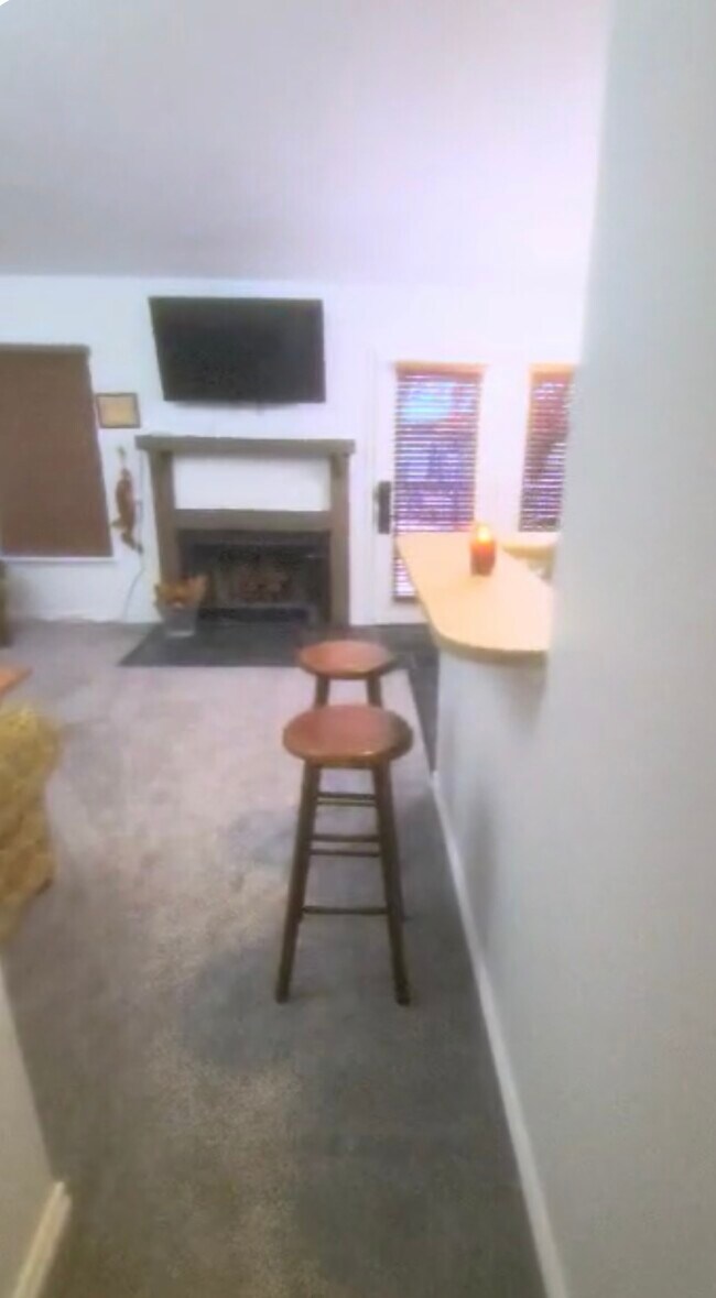 225 Ozark Mountain Resort Dr unit Bldg11,Unit44, Kimberling City, MO 65686 - photo 7