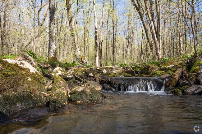 Natchaug State Forest near Eastford offers stocked rivers, trails, and wildlife.