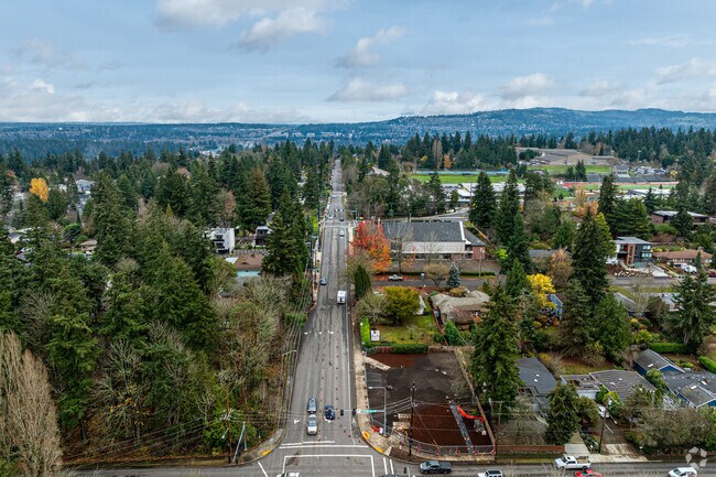 Forest Avenue is named for its lush thoroughfare.