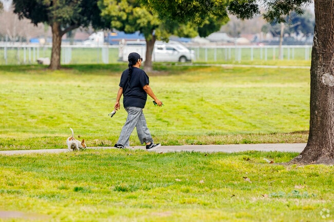 Walk the dog at Mark Twain Park in West Modesto, California.