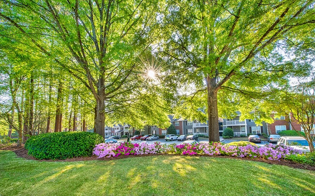 MAA Pleasant Hill, Duluth, GA 30096 - photo 7