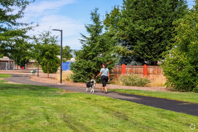 It's common to see people walking their dogs in Washington.