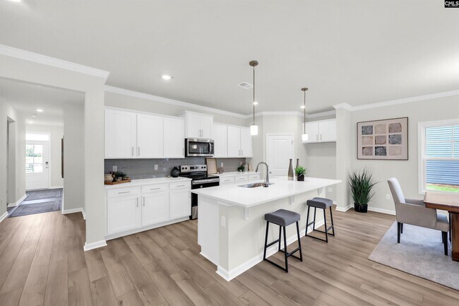 1039 Beaufort Farm Rd, Blythewood, SC 29016 - photo 6