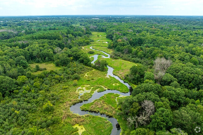 Marsh views unfold minutes from Stacy in Carlos Avery Wildlife Management Area.