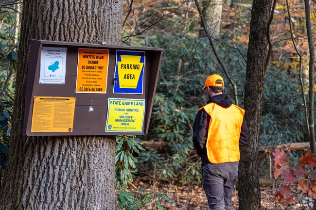Hunters wear orange to be easily identified on hunting lands in Upper Bern.