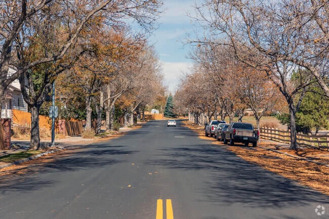The Sheridan Green neighborhood is known for it's sheer number of trees.