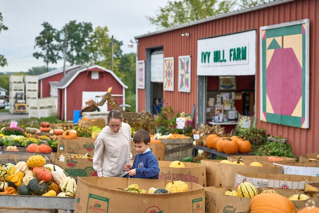 Minutes from Rouzerville, Ivy Hill Farm offers locally sourced food and produce to residents.