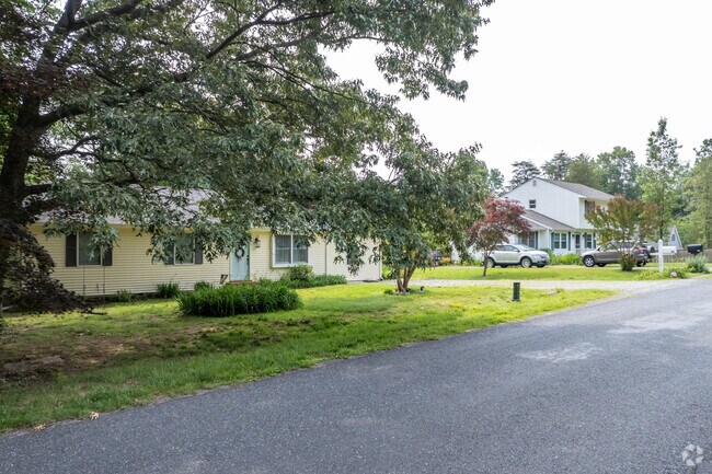 Enjoy the tree lined streets of Kingstown.