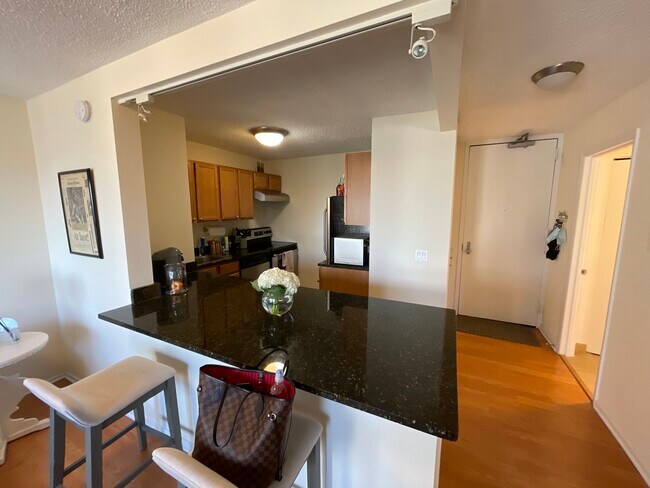 30 E Huron St unit A, Chicago, IL 60611 - photo 4