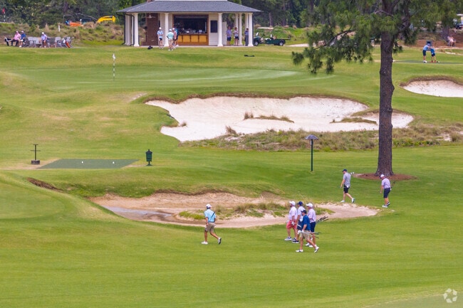 Groups of golfers navigate lush greens and sand traps at Pinehurst’s Cradle course.