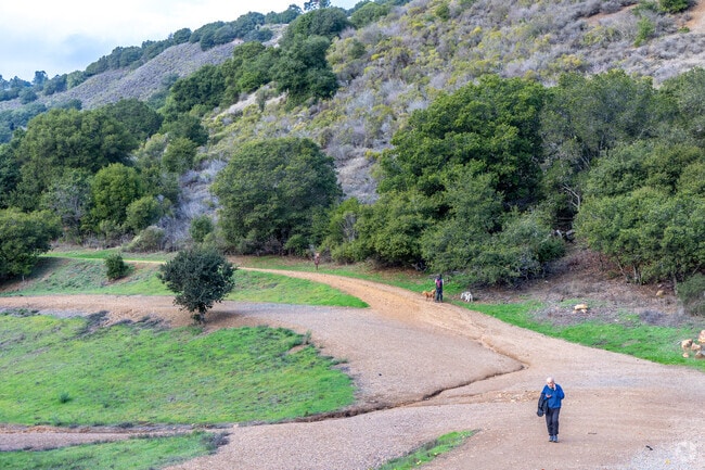 Leona Canyon Regional Open Space is a pristine 290 acre wooded canyon near Millsmont.