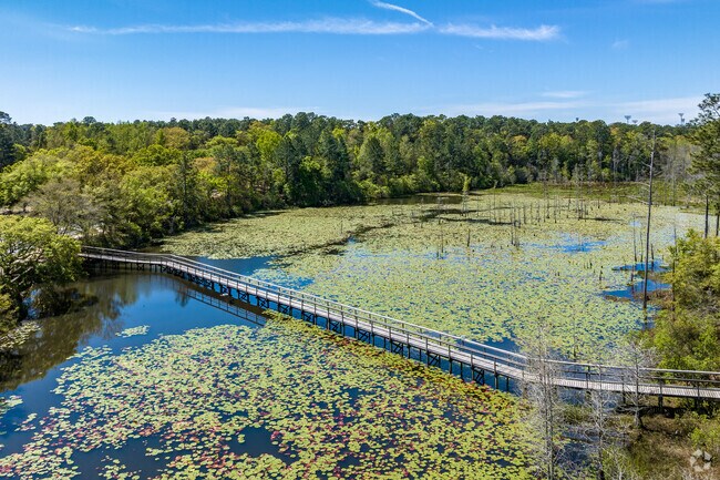 Glenn Sebastian Nature Trail near Pinewood features a tranquil pond with a scenic boardwalk.