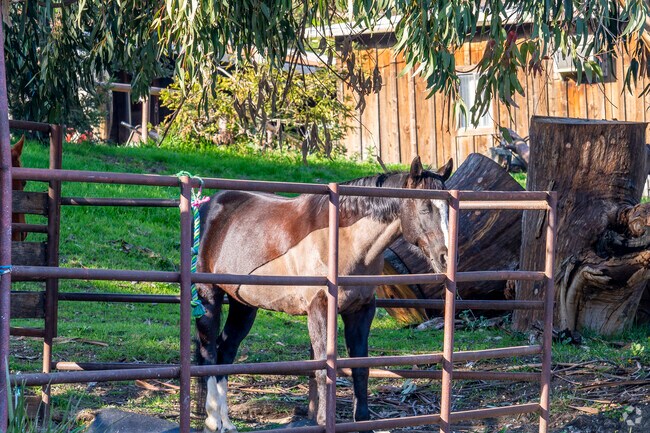 Horseback riding is a popular hobby in Saratoga.