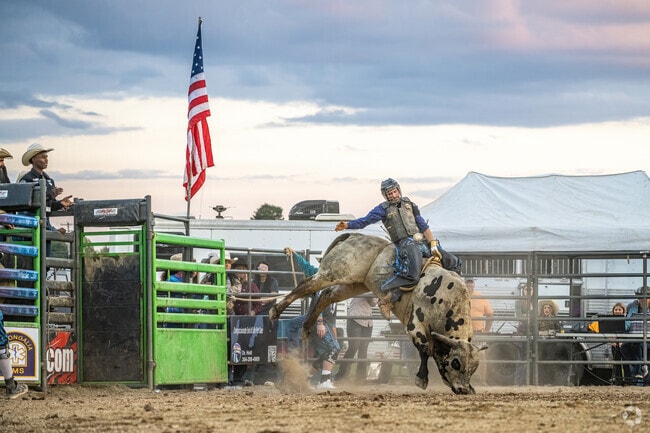 Residents of Westover love the rodeo at the Fairgrounds at Mylan Park during the Monongalia County Fair.