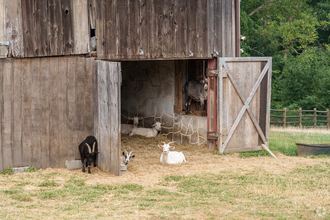 Garnet Valley still shows its rural roots such as this barn that's home to 40+ goats.