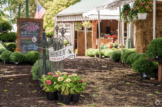 The smallest of the small businesses abound in Jacksonville.