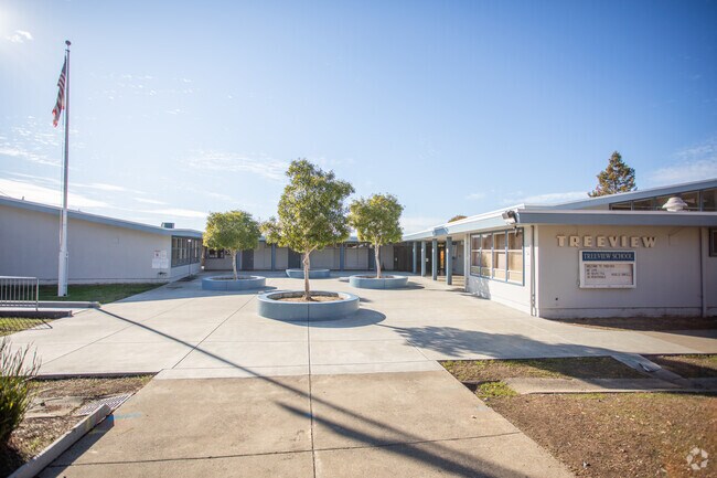 There are about 370 students at Treeview Elementary in Hayward.