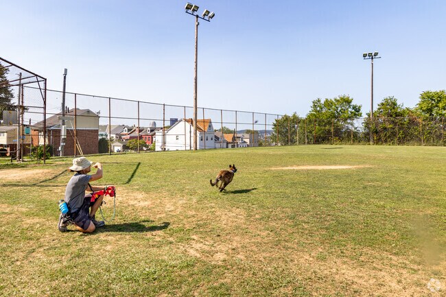 Take your best friend to Arlington Park and let them run around.