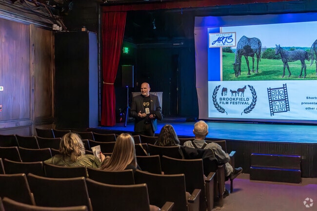 Independent films take the spotlight at the Brookfield Film Festival.