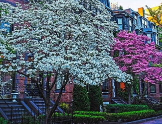 379 Marlborough St, Boston, MA 02115