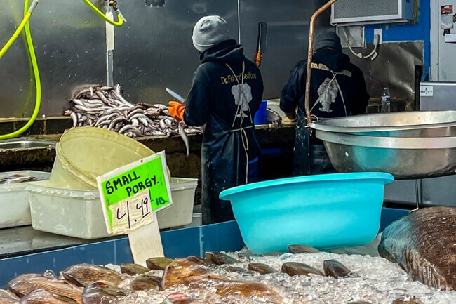 Dr Fish & Seafood has very fresh fish in Irvington, NJ.