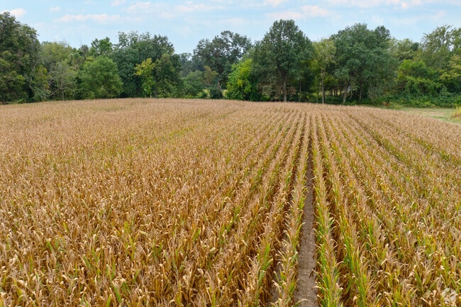 Saint Paul is where the St. Louis suburbs turn into farmland.
