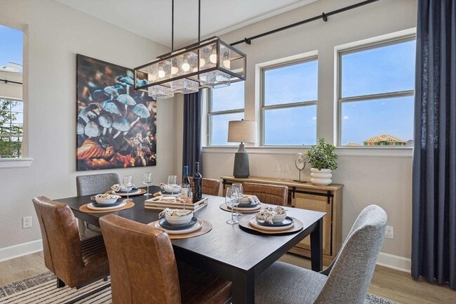 2917 Engelman Dr unit 36491196, McKinney, TX 75071 - photo 6